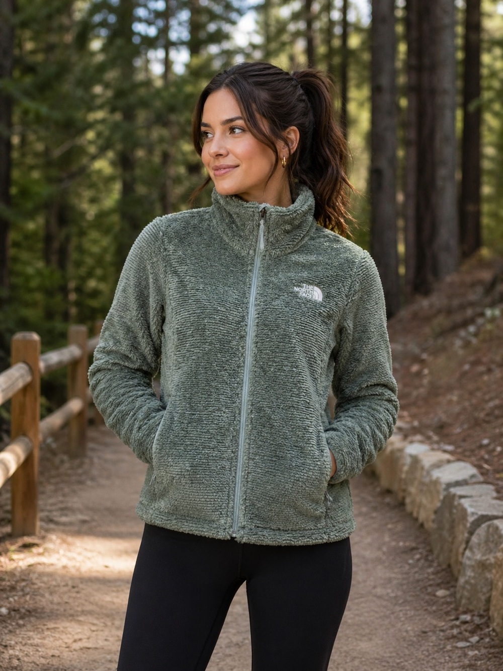 The north face printed multi color Osito jacket